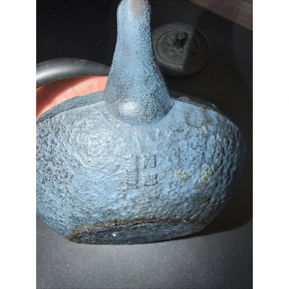 Japanese  Kotobuki Cast Iron Teapot With Filter 20 OZ!